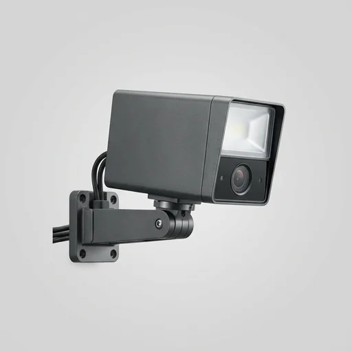 Netatmo Smart Outdoor Camera, image 2 of 3